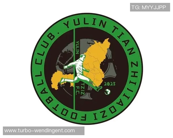 陕西足球队队徽的设计理念与文化象征解析